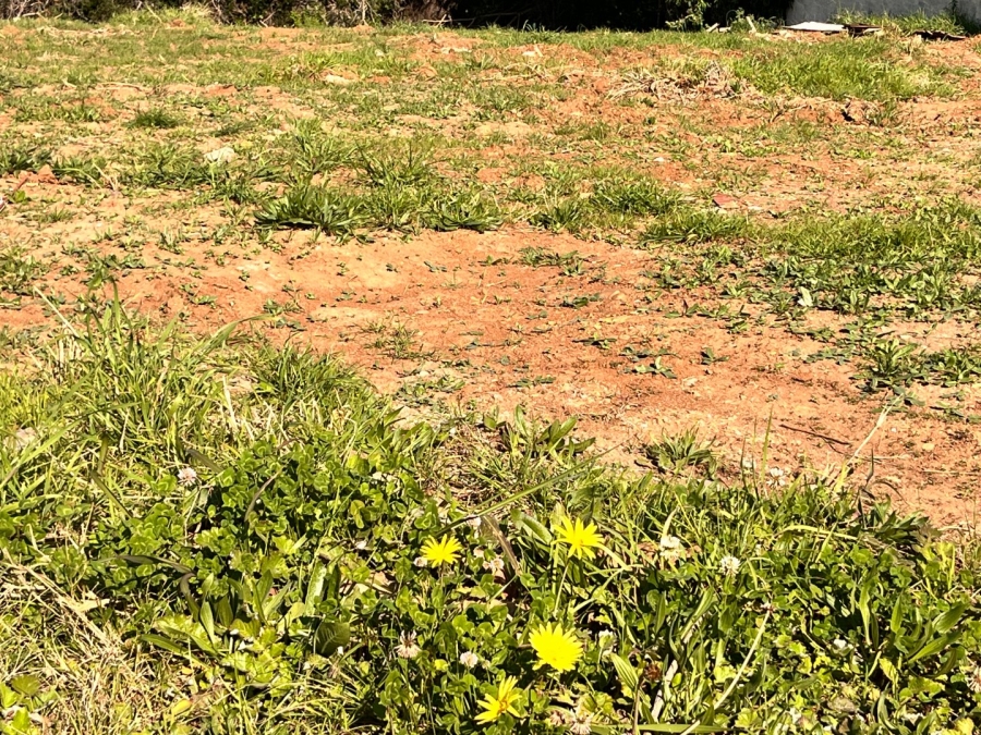 Commercial Property for Sale in Noorsekloof Eastern Cape
